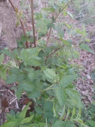 무료지식나눔 팜닥터님의 자유주제 · 자유게시판 작성글 사진