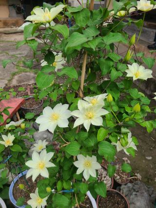 이미영님의 자유주제 · 사진전 작성글 사진