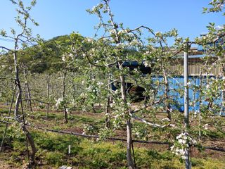 알 수 없음님의 자유주제 · 자유게시판 작성글 사진