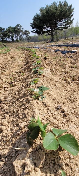 한성님의 자유주제 · 자유게시판 작성글 사진