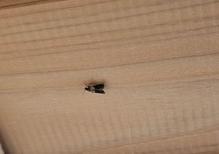 연모 자연의행복님의 자유주제 · 자유게시판 작성글 사진