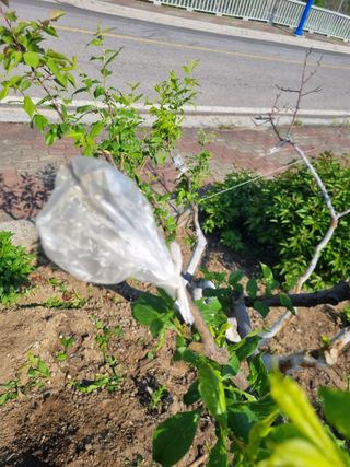 김용대님의 자유주제 · 자유게시판 작성글 사진