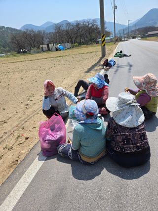 팜모닝회원 바이크농원님의 자유주제 · 자유게시판 작성글 사진