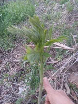 무료지식나눔 팜닥터님의 자유주제 · 자유게시판 작성글 사진