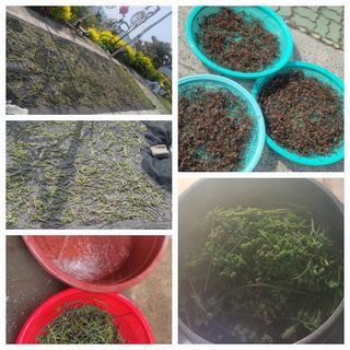 조명희님의 자유주제 · 자유게시판 작성글 사진