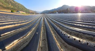 팜모닝회원 바이크농원님의 자유주제 · 자유게시판 작성글 사진