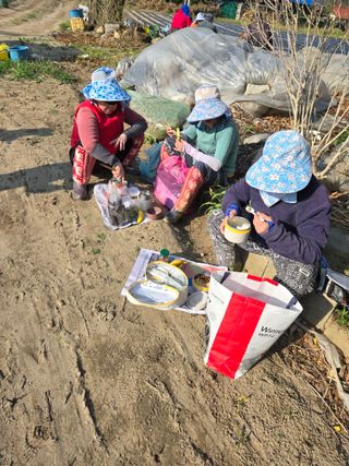 팜모닝회원 바이크농원님의 자유주제 · 자유게시판 작성글 사진