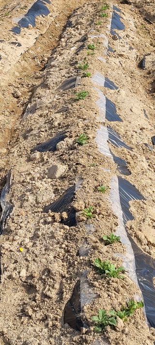 한성님의 자유주제 · 자유게시판 작성글 사진