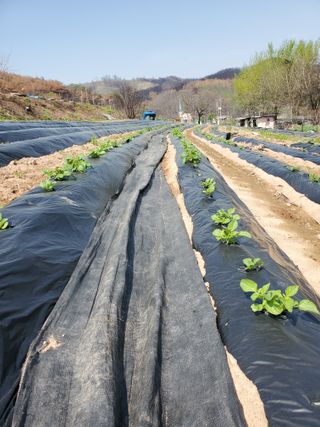 정연섭님의 자유주제 · 자유게시판 작성글 사진