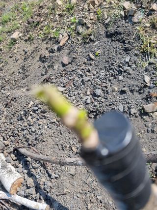 김용대님의 자유주제 · 자유게시판 작성글 사진