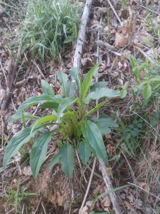 무료지식나눔 팜닥터님의 자유주제 · 자유게시판 작성글 사진