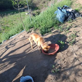 오영도님의 자유주제 · 자유게시판 작성글 사진