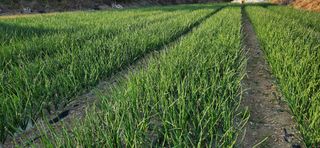 조태현님의 자유주제 · 자유게시판 작성글 사진