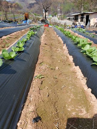 정연섭님의 자유주제 · 자유게시판 작성글 사진