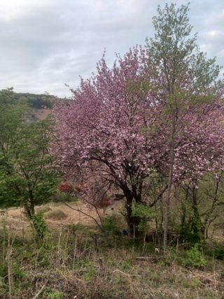 무료지식나눔 팜닥터님의 자유주제 · 자유게시판 작성글 사진