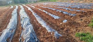 한성님의 자유주제 · 자유게시판 작성글 사진