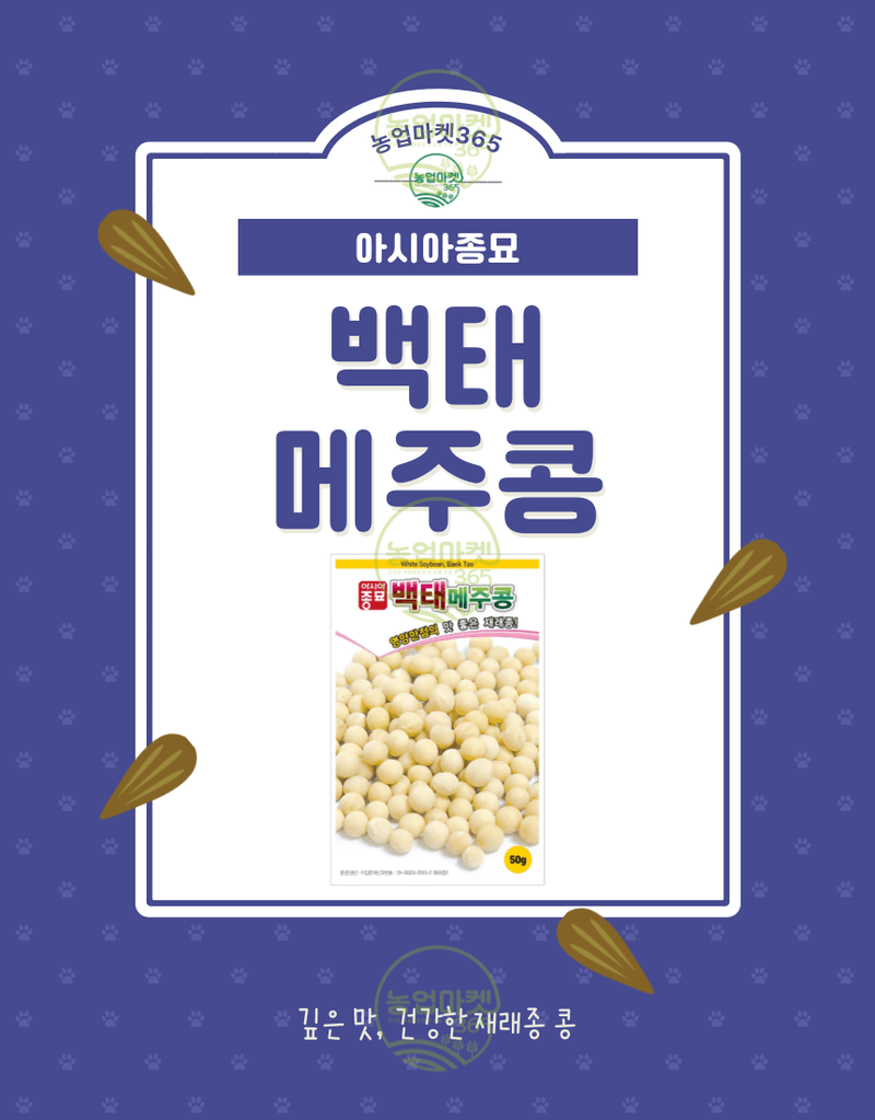 농업마켓365님의 장터 판매 상품 [농업마켓365 아시아종묘 메주콩 백태 50g 약 150립 씨앗 종자 ] 첨부 사진