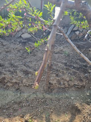 김용대님의 자유주제 · 자유게시판 작성글 사진