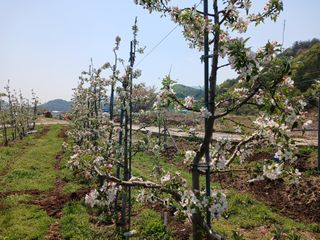 알 수 없음님의 자유주제 · 자유게시판 작성글 사진