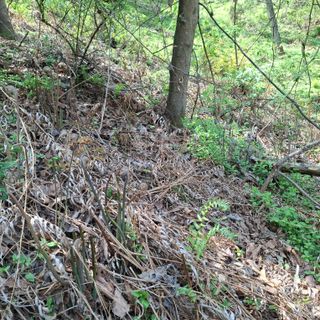 오영도님의 자유주제 · 자유게시판 작성글 사진