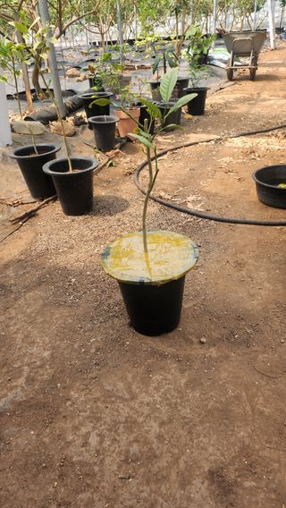 정미리님의 자유주제 · 자유게시판 작성글 사진