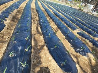 이연화님의 자유주제 · 자유게시판 작성글 사진