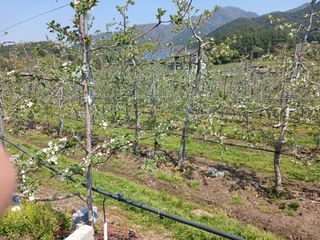알 수 없음님의 자유주제 · 자유게시판 작성글 사진
