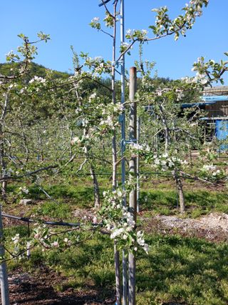 알 수 없음님의 자유주제 · 자유게시판 작성글 사진