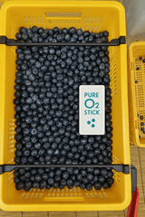 팜모닝 자유주제·자유게시판 게시글 이미지