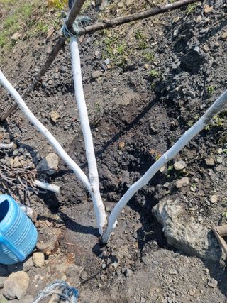 김용대님의 자유주제 · 자유게시판 작성글 사진