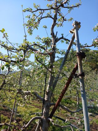 알 수 없음님의 자유주제 · 자유게시판 작성글 사진