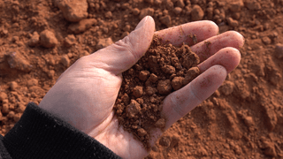 누보농장님의 자유주제 · 자유게시판 작성글 사진