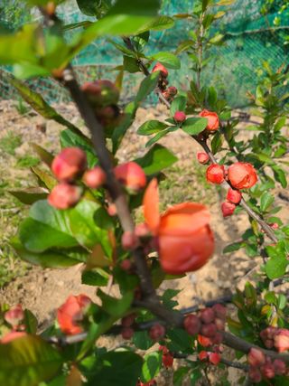 이미영님의 자유주제 · 사진전 작성글 사진