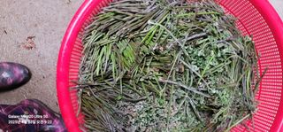 조명희님의 자유주제 · 자유게시판 작성글 사진