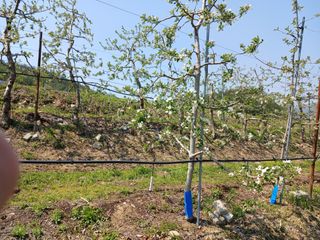 알 수 없음님의 자유주제 · 자유게시판 작성글 사진
