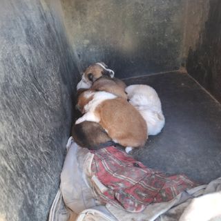 오영도님의 자유주제 · 자유게시판 작성글 사진