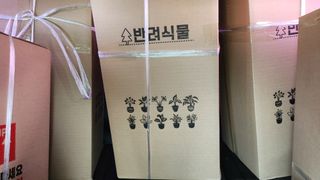 정미리님의 자유주제 · 자유게시판 작성글 사진