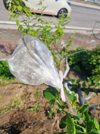 김용대님의 자유주제 · 자유게시판 작성글 사진