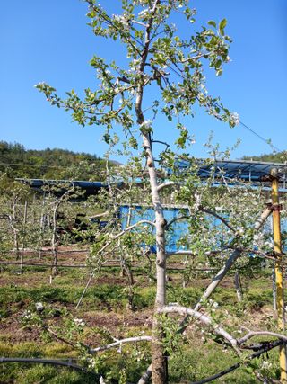 알 수 없음님의 자유주제 · 자유게시판 작성글 사진