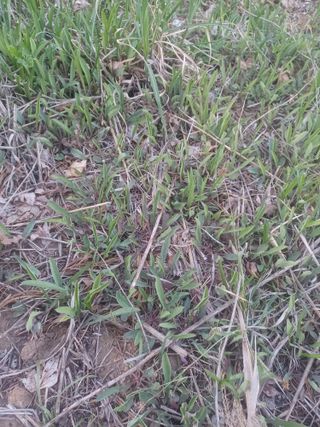 무료지식나눔 팜닥터님의 자유주제 · 자유게시판 작성글 사진