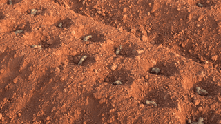 누보농장님의 자유주제 · 자유게시판 작성글 사진