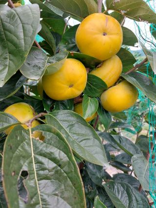 손수열님의 자유주제 · 자유게시판 작성글 사진