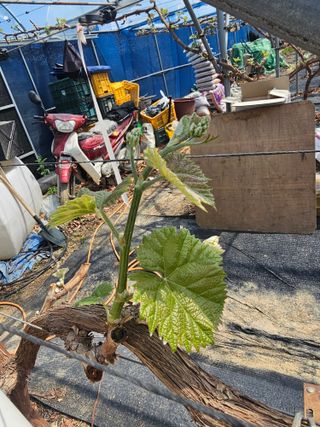 최순호님의 자유주제 · 자유게시판 작성글 사진