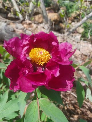 무료지식나눔 팜닥터님의 자유주제 · 자유게시판 작성글 사진