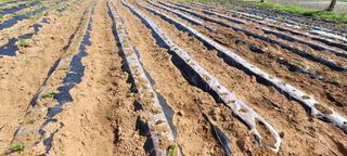 한성님의 자유주제 · 자유게시판 작성글 사진