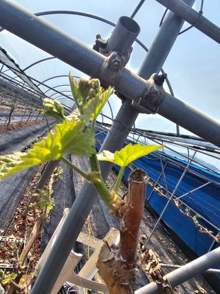 최순호님의 자유주제 · 자유게시판 작성글 사진