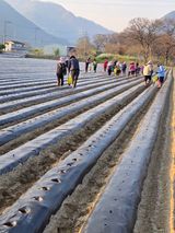 팜모닝 자유주제·자유게시판 게시글 이미지