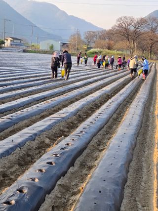 팜모닝회원 바이크농원님의 자유주제 · 자유게시판 작성글 사진