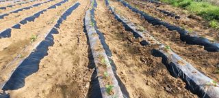 한성님의 자유주제 · 자유게시판 작성글 사진