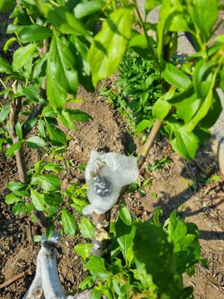 김용대님의 자유주제 · 자유게시판 작성글 사진